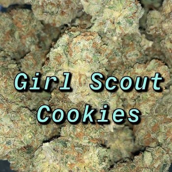 Girls Scout Cookies